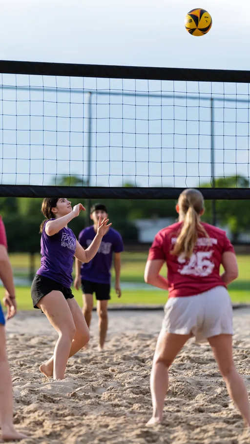 Players on a sand volleyball court are actively engaged in a game, with one player in a purple shirt preparing to hit the ball over the net while another player in a red shirt stands ready on the opposite side. The setting is outdoors with a net, sand court, and grassy background.